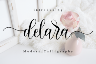 Delara Font: Elegance and Readability in Modern Web Design