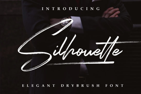 How Silhouette Elegant Font Elevated My Brand’s Visuals