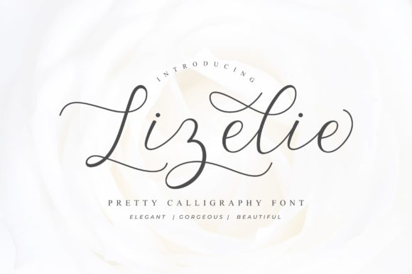 Lizelie Font: A Script Amp Typeface That Elevates Brand Visuals