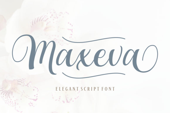 Maxeva Font Adds Elegance to My Web Design Project